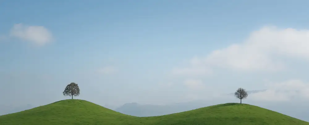 Xie, April: Two trees