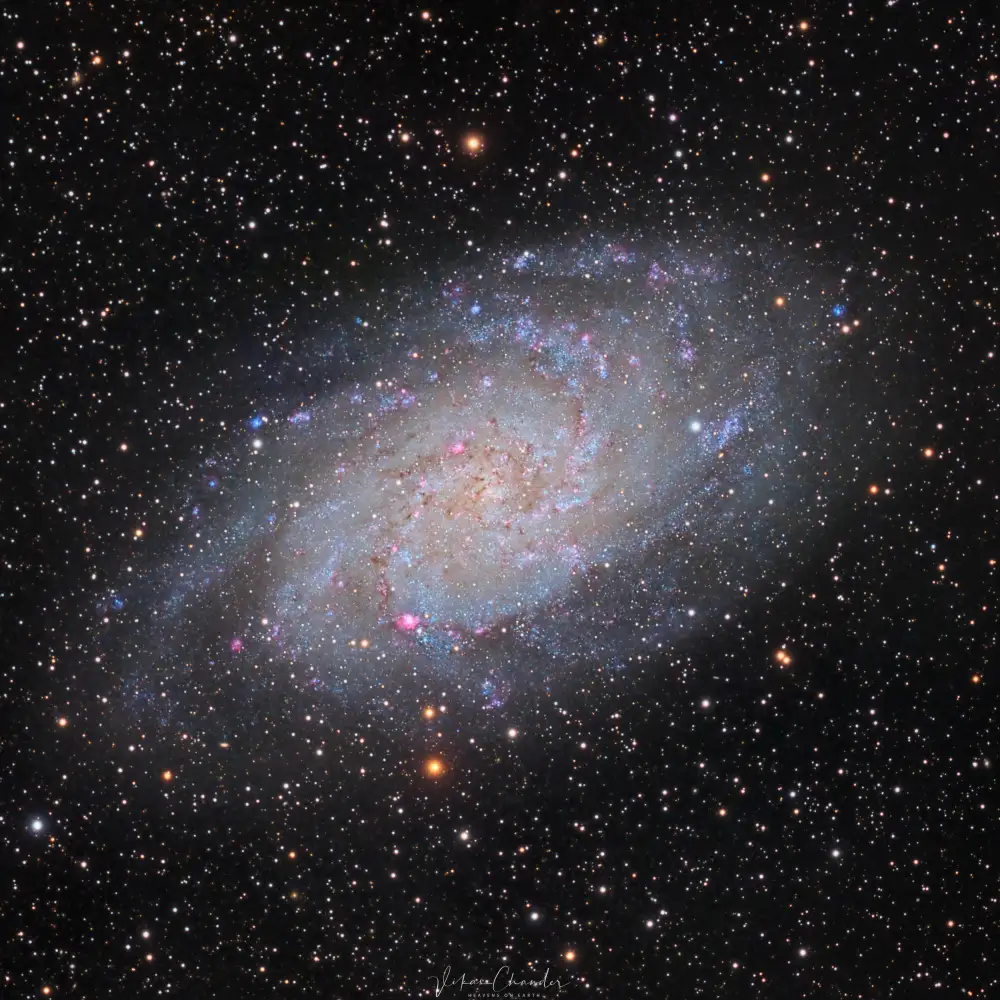 Chander, Vikas: Dreiecksgalaxie