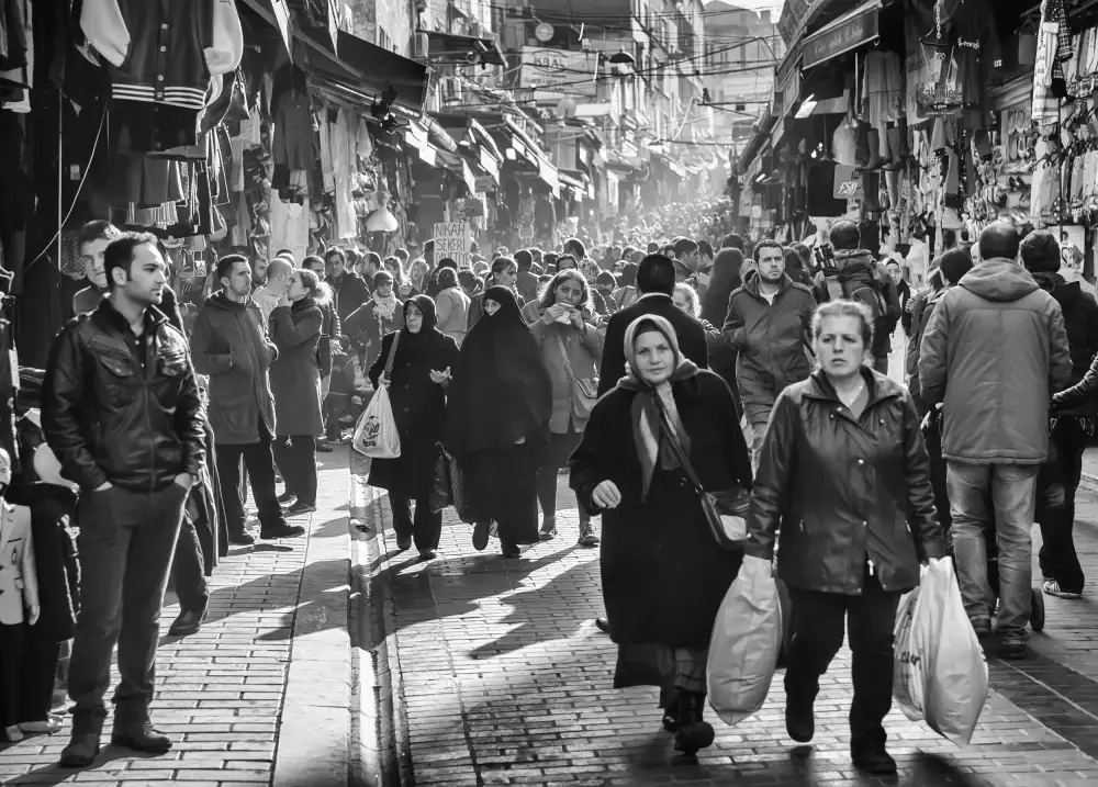 nedelcu, ian mihai: commerce