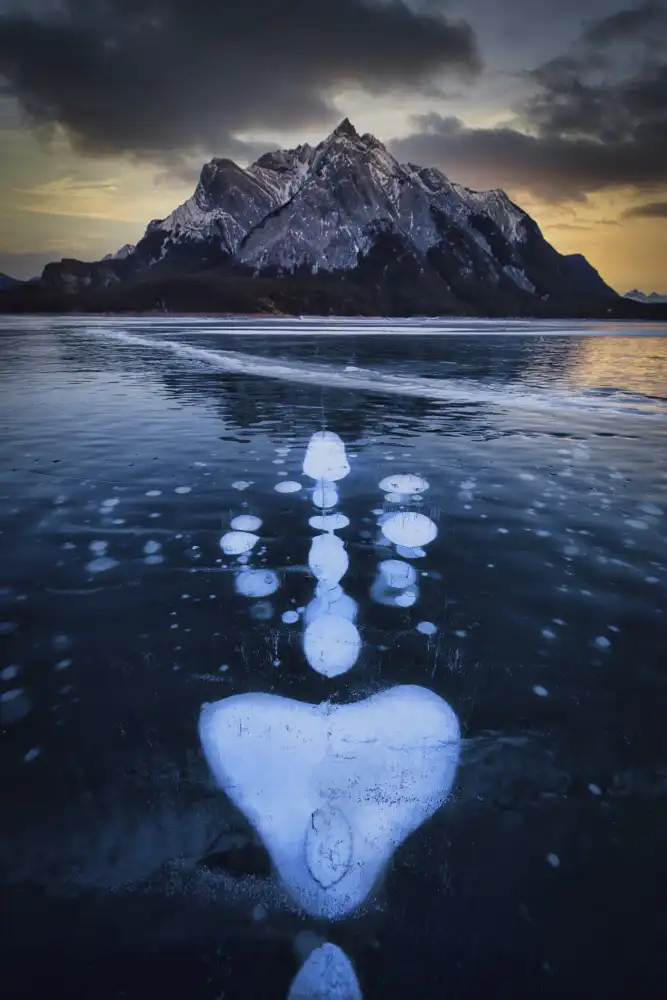 Zheng, Michael: Symétrie d'Icelake