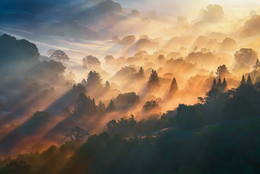 Li, Ryan: Luz de la mañana