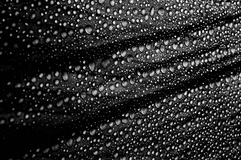 Ciappara, JG Simon: Cultured Rain Pearls