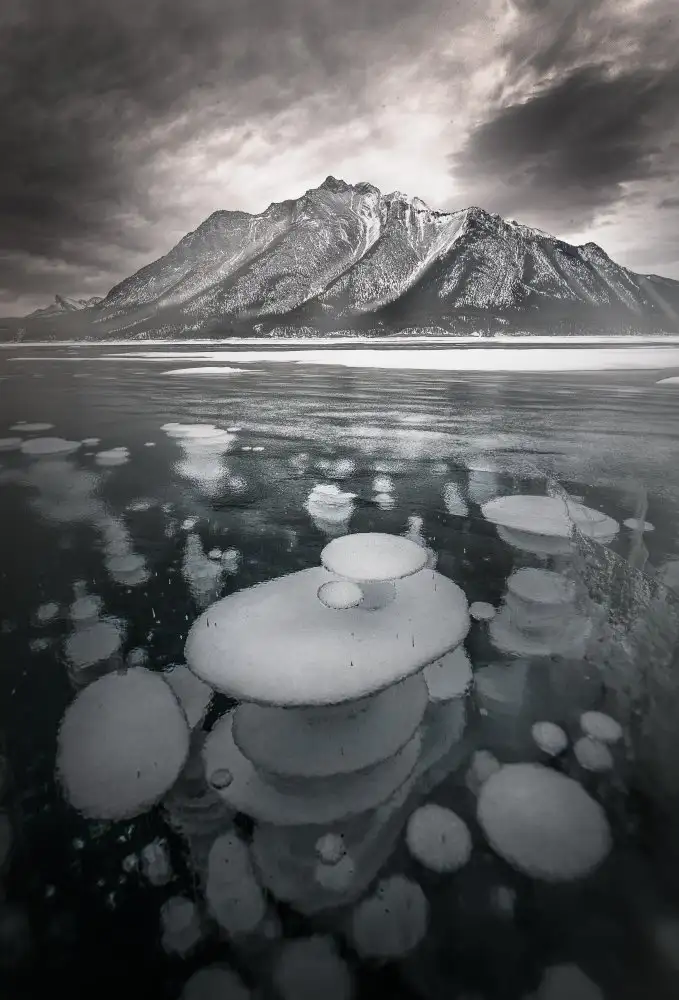 Tao, Liwen: No name