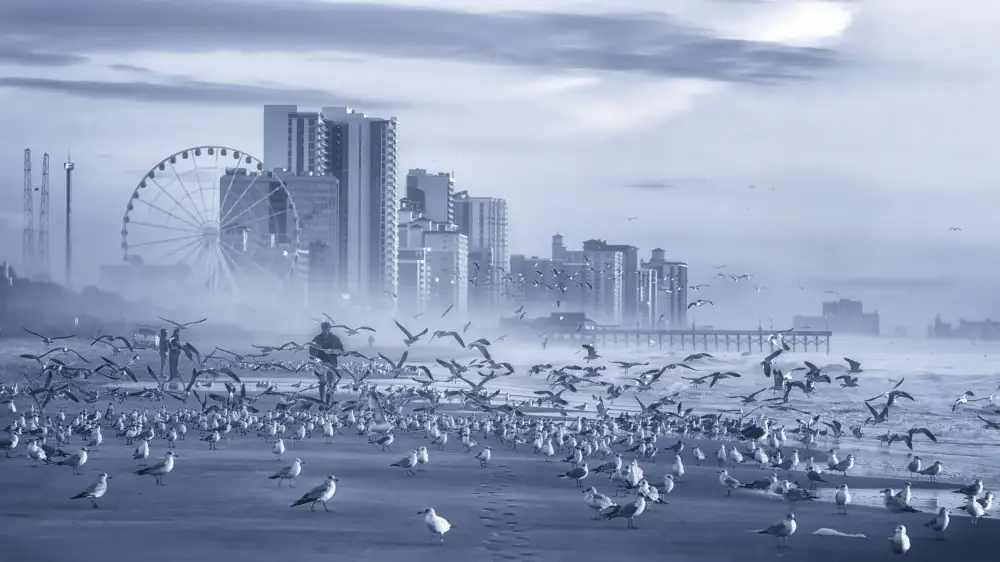 Yang, Jianping: El hombre y los pájaros