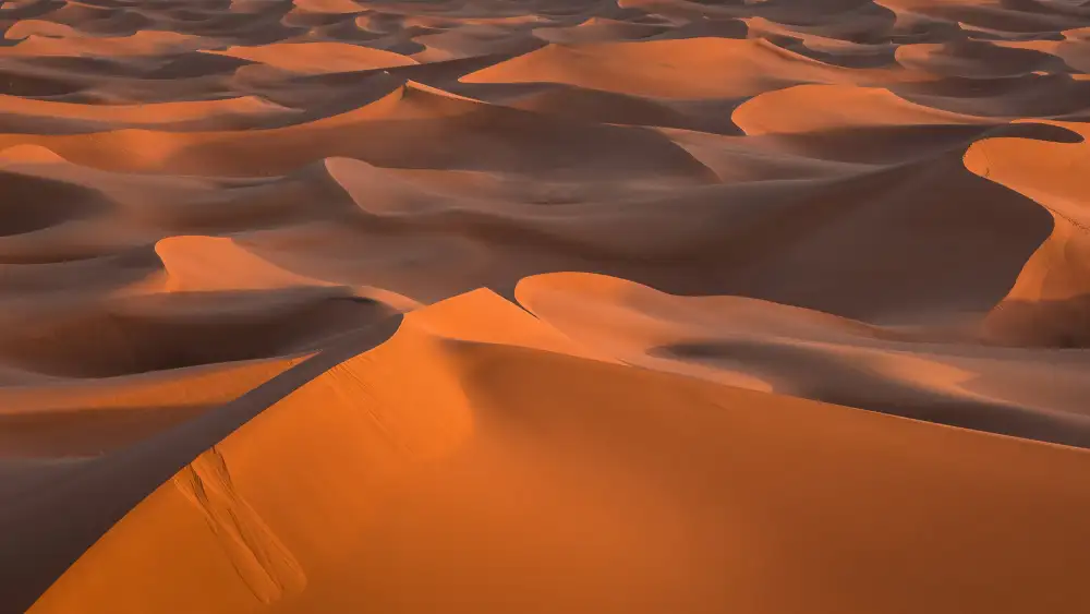 Prybinski, Miroslaw: Dune del deserto