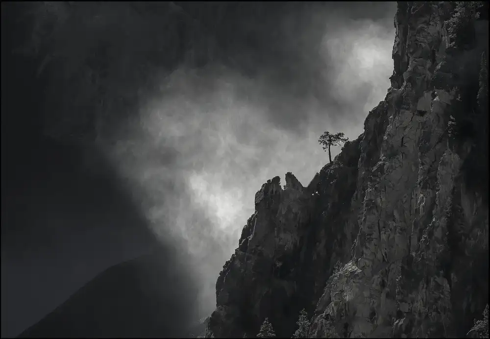 Qin, Feng: Mountain, Fog and the Tree