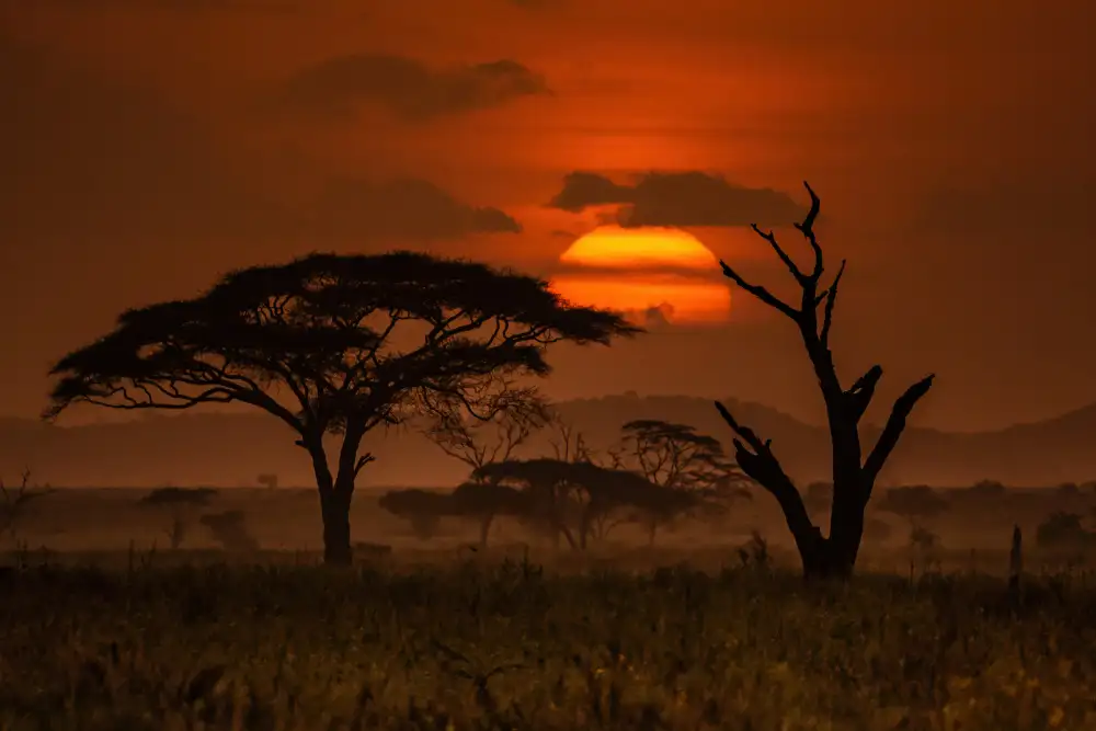 Adrian: Sunset in Serengeti