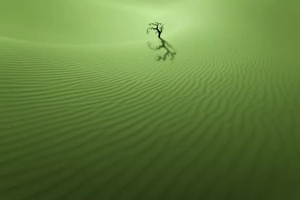 Xiaopeng, Guan: vitalità