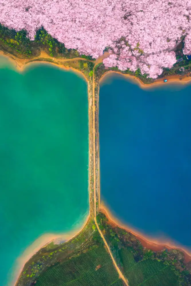 Tianqi: Kirschgarten,Provinz Guizhou