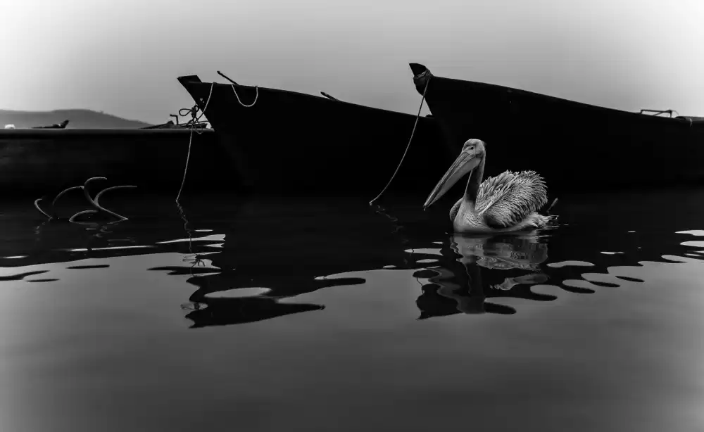 Kandilcioglu, Nisan Ummu: diario del lago 2