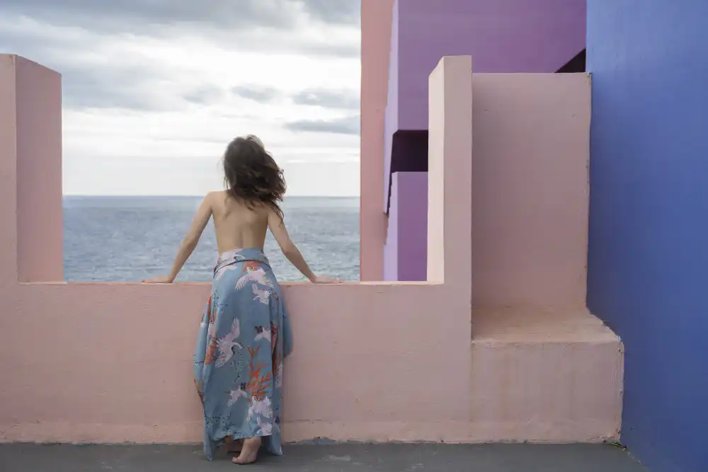 Bardají, L. Rafael: Una ventana