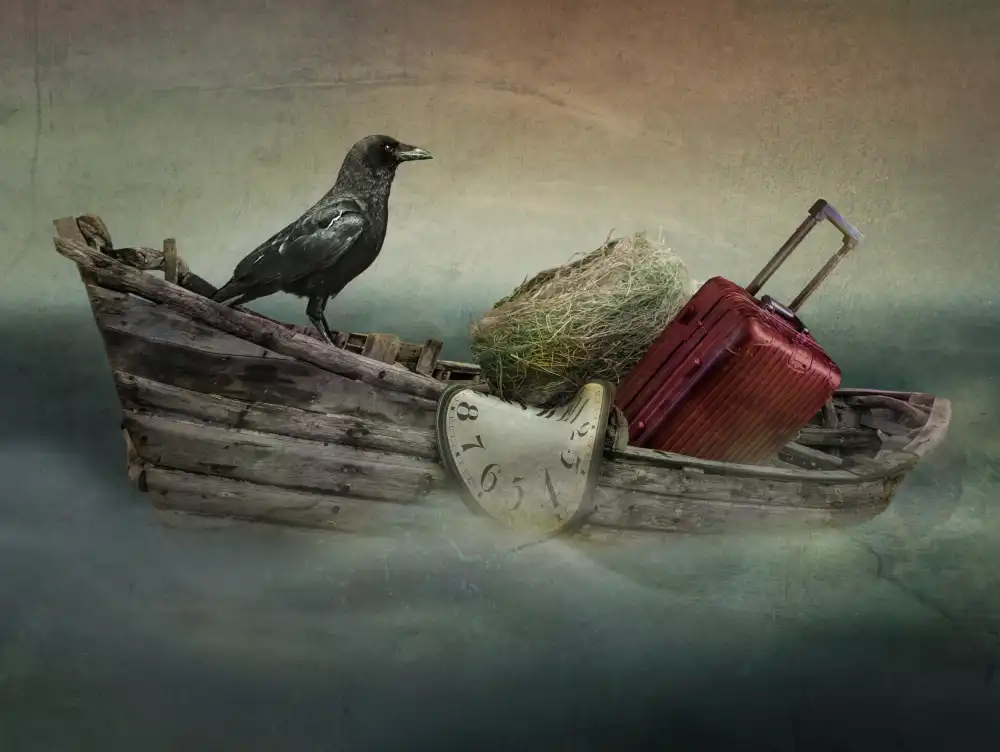 XibiaoHuang: Migration time  of  bird