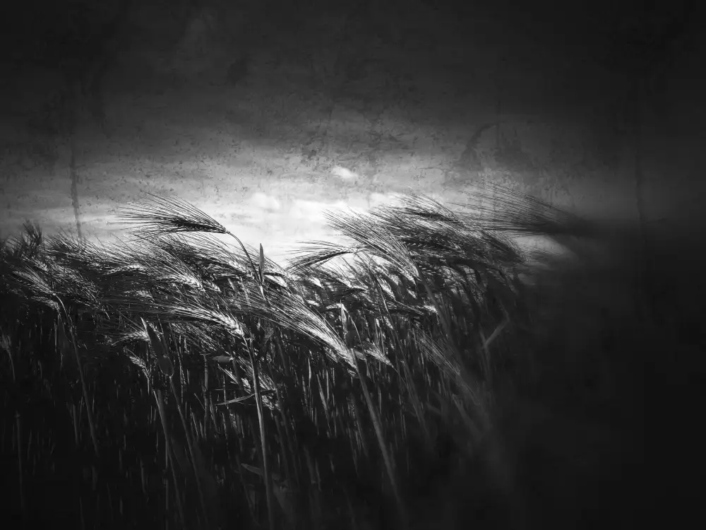 Margau, Delphine: Cuando el silencio comienza a decir