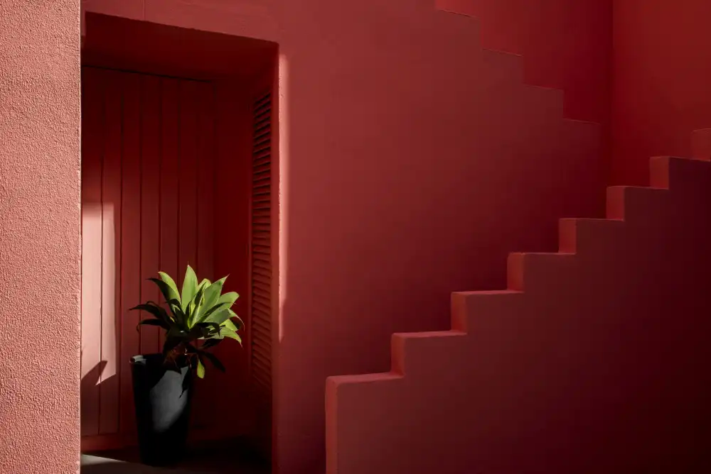 Wride, Linda: Muralla Roja #6