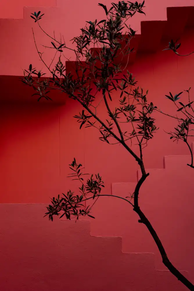 Wride, Linda: Muralla Roja #14