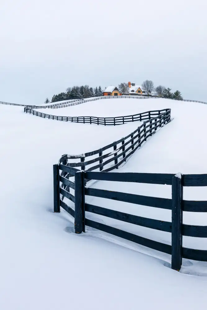 Zhou, Steven: Las maravillas de invierno