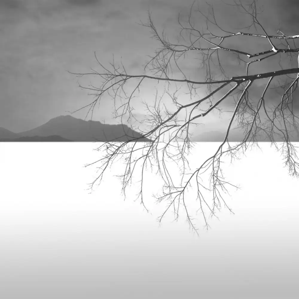 Nodeh, Mostafa: Horizon