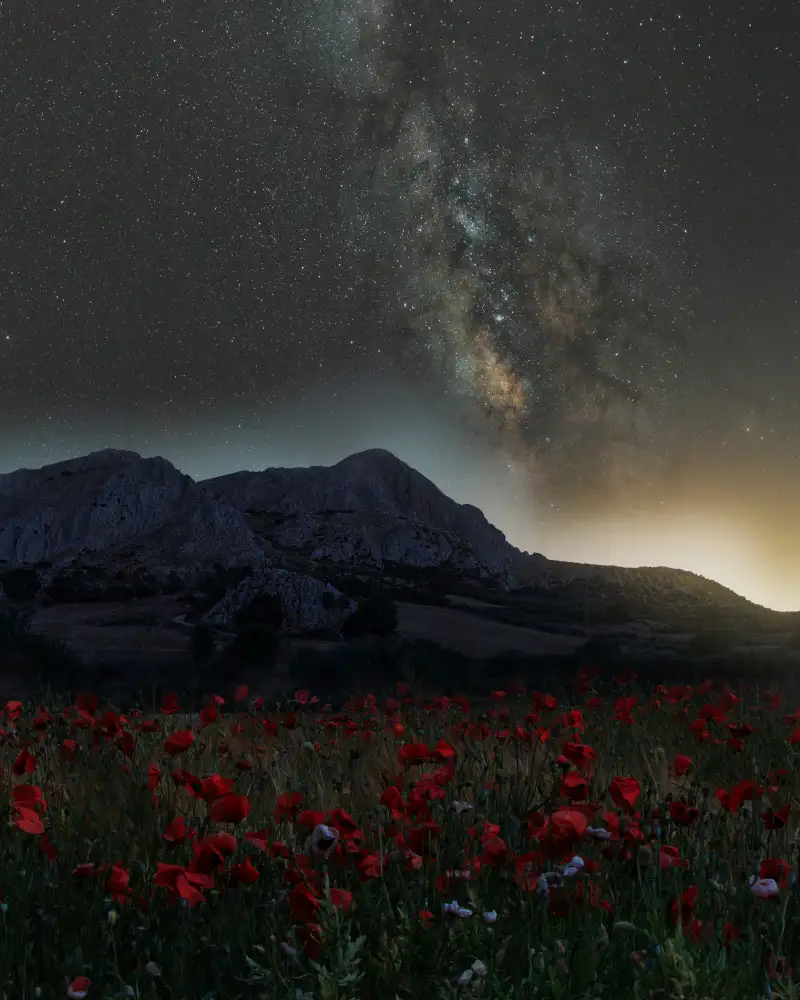 Puerto, del Javier: The light pollution