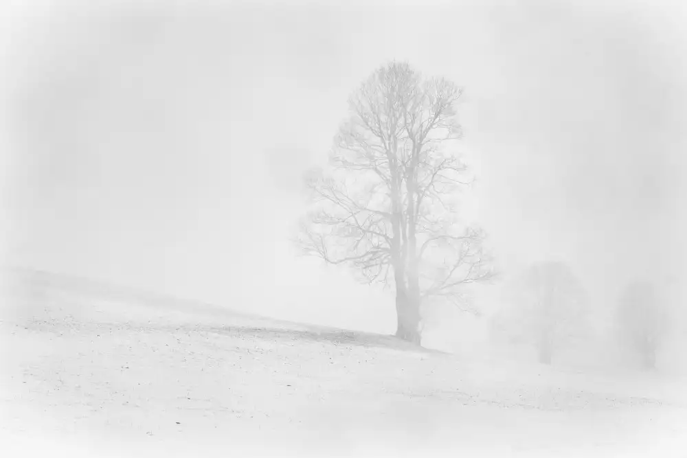 Keizer, Annie: Inverno nebbioso nell'Allgäu