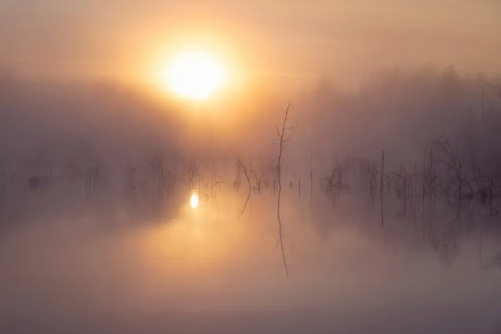 Maier, Norbert: Marshland Sunrise