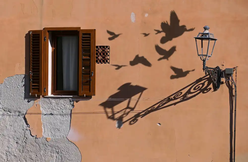 Pizzocaro, Giorgio: Schatten