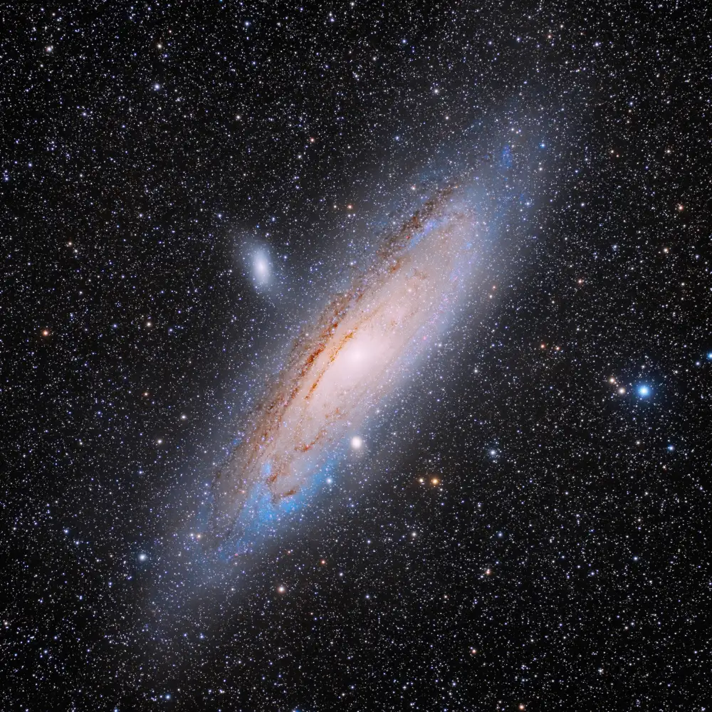 Chander, Vikas: Andromeda