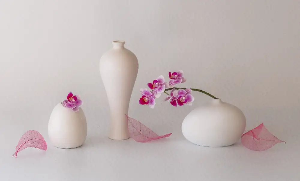 May, G.: orquídea rosa