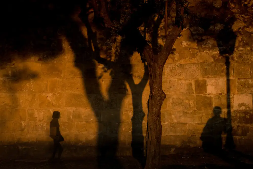 Berova, Ivelina: Todos somos solo sombras