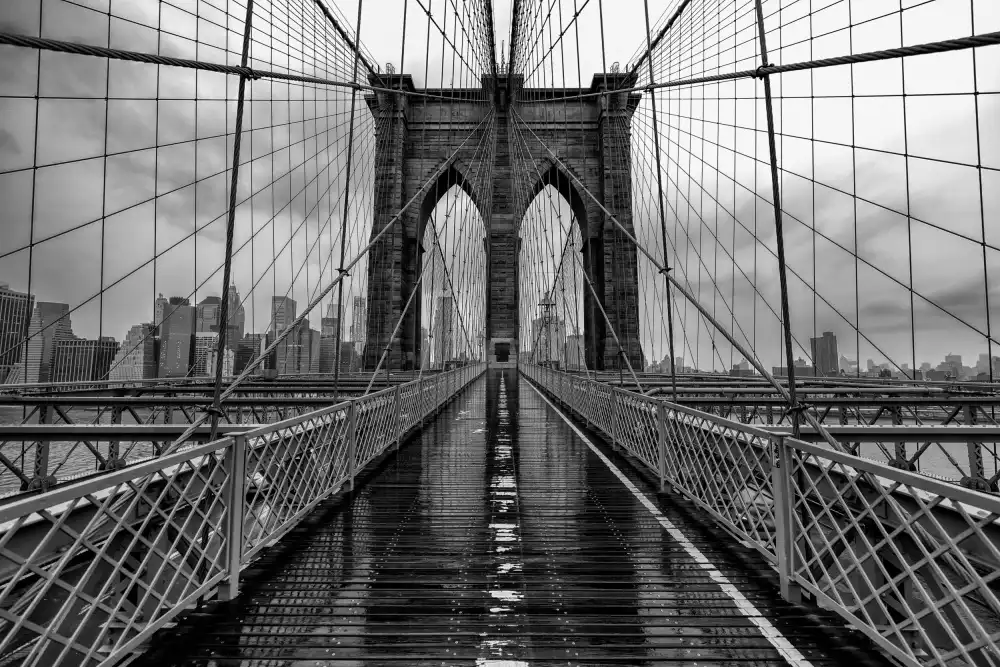 Sowter, Ashley: le pont de Brooklyn