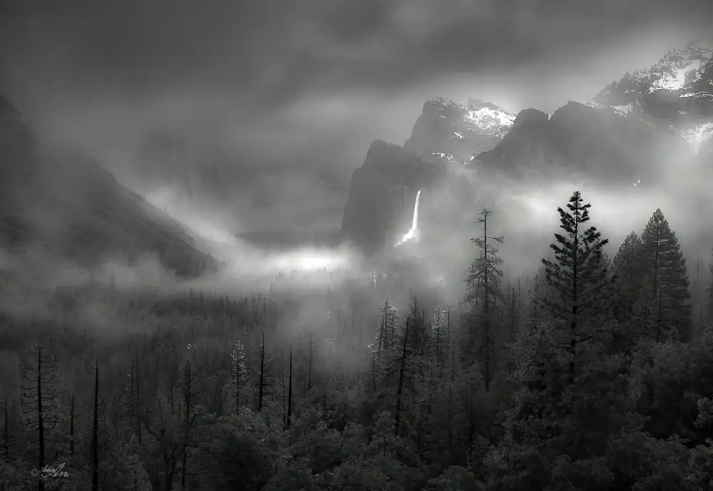 AN, ANNA: Foggy Yosemite Valley