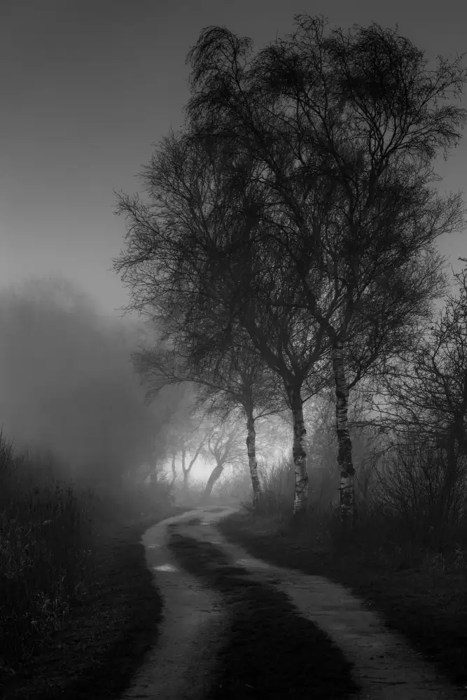 Klesse, Andreas: Nebel