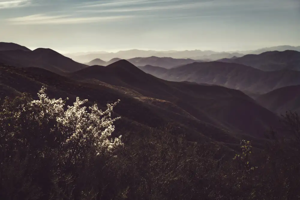 Mossholder, Tim: Vue des collines
