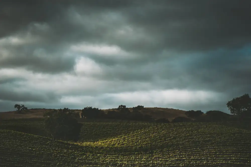 Mossholder, Tim: Flanc de colline et nuages