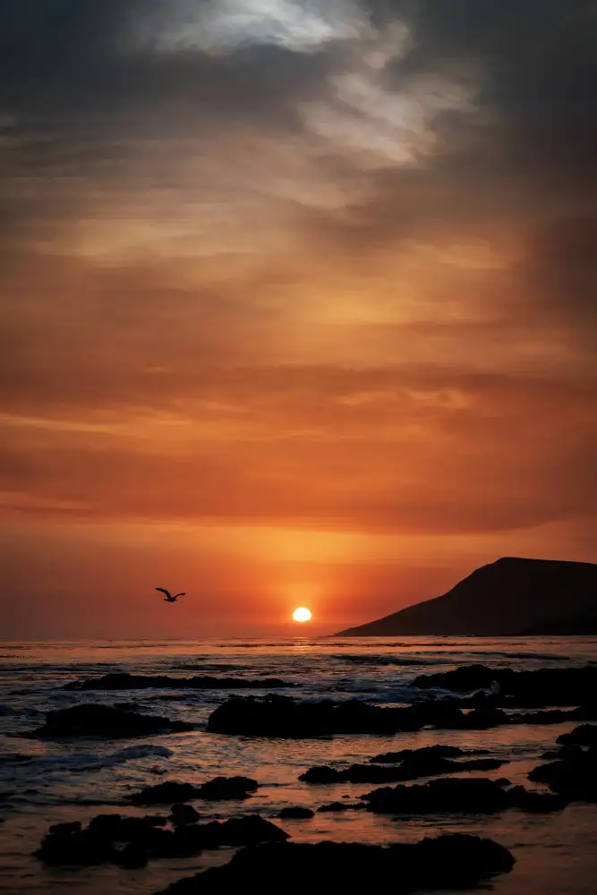 Mossholder, Tim: Coucher de soleil orange