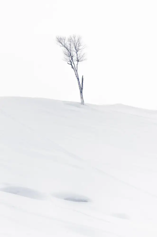 Oberai, Jassi: Osamělý na vrcholu