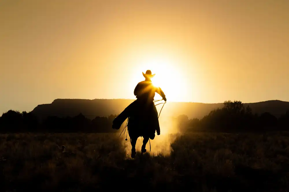 Jacob, Matt: Der Cowboy