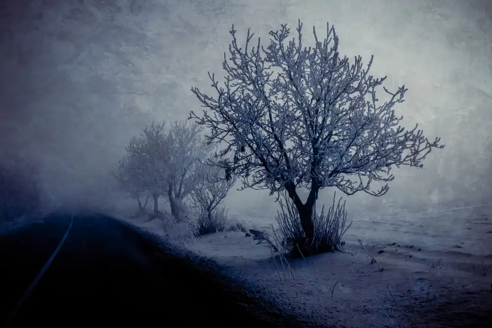 Kazamil, Farid: En la noche con niebla