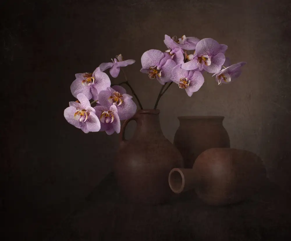 Perfoncio, Margareth: Beauty and simplicity