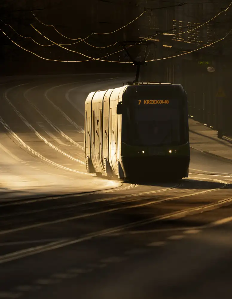 Niemiec, Anna: Matin urbain doré