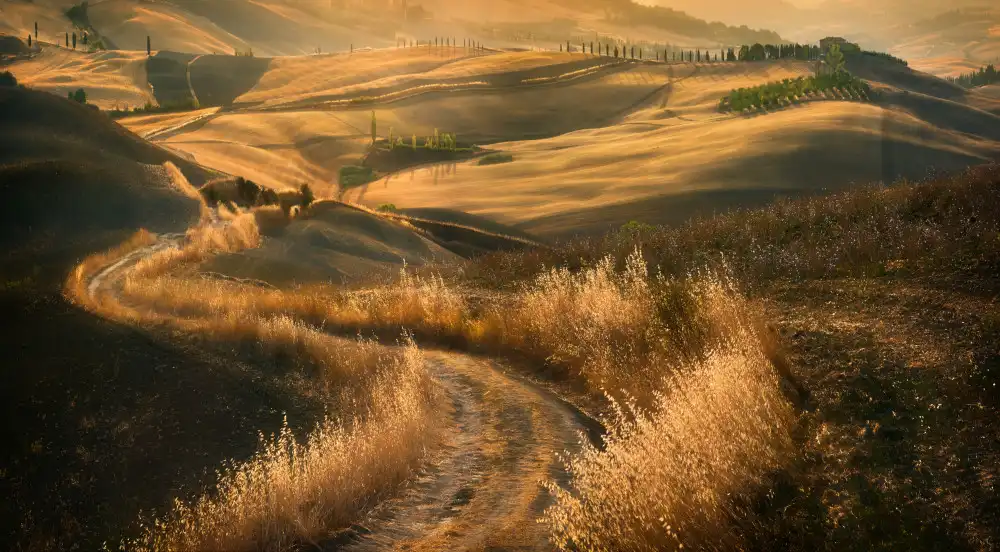 Browko, Krzysztof: Strada...