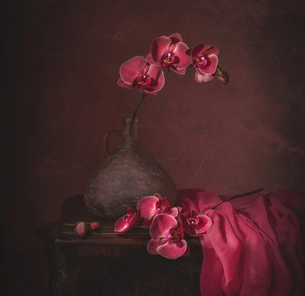 Perfoncio, Margareth: Pink