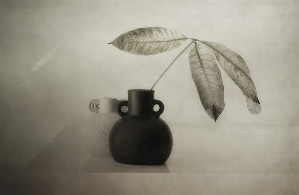Arjona, Elena: Three leaves