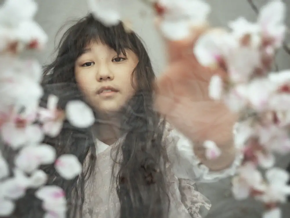Ugachi, Takako: SAKURA „Třešňové květy“.