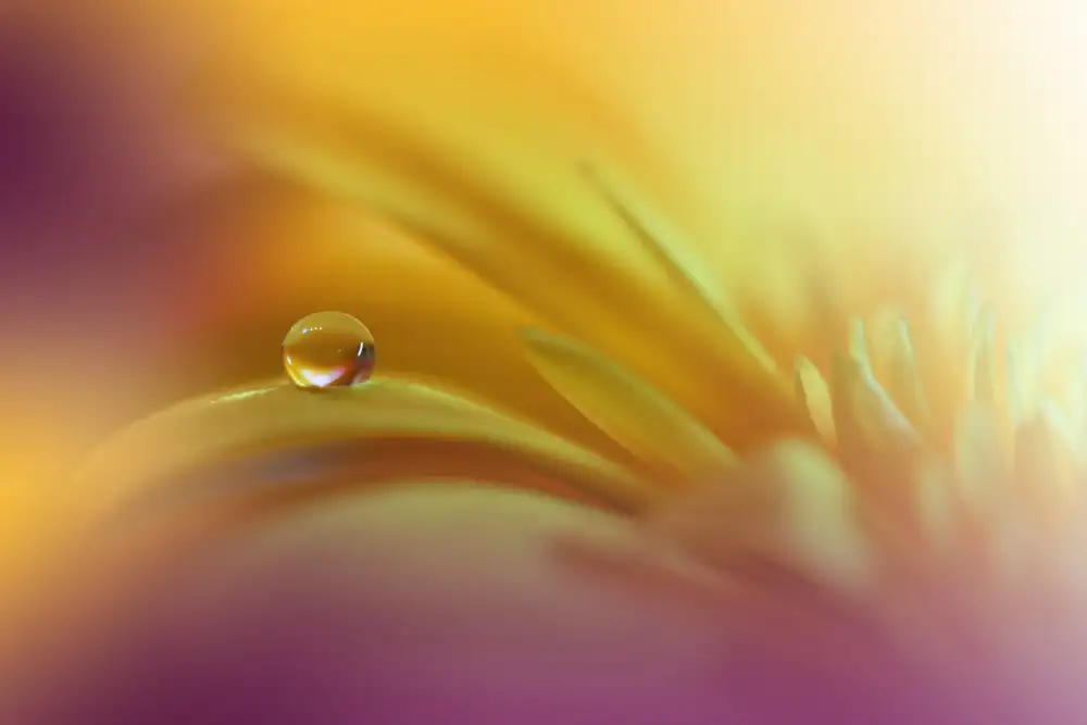 Nan, Juliana: A World Of Color..