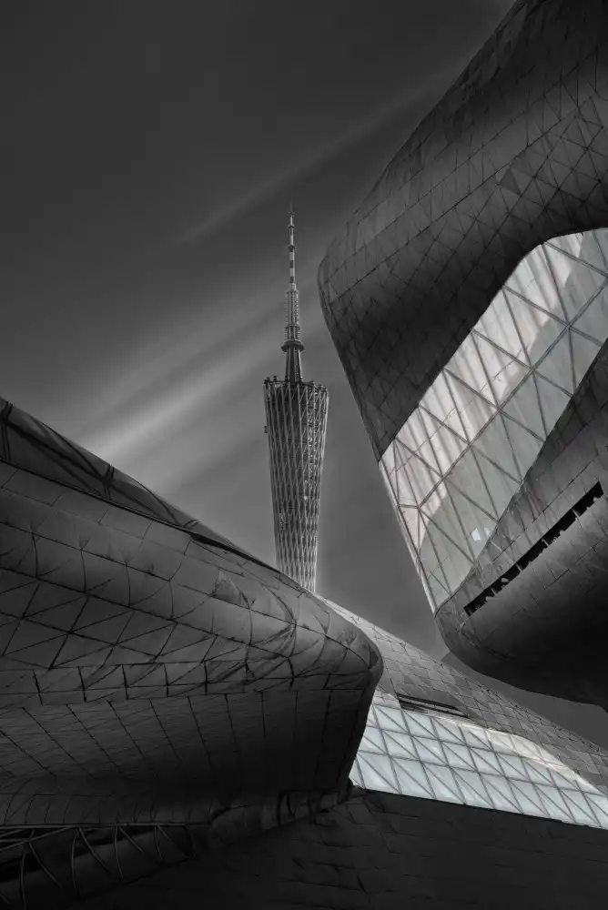 陈权圣: spaceship