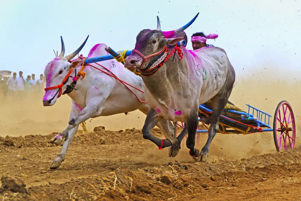 Wedpathak, Rahul: Puissance et Force