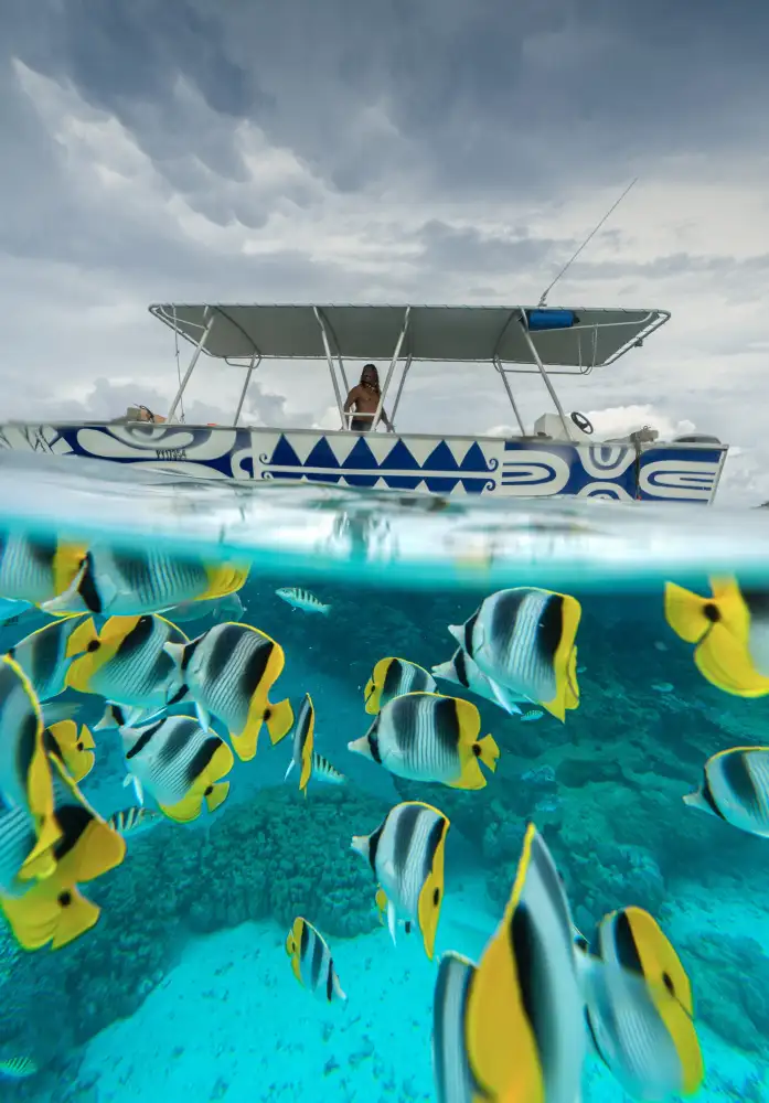 Chengming: Bora Bora