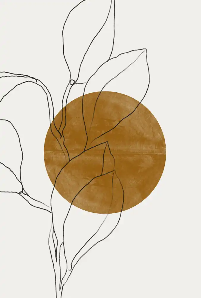 Studio, Miuus The: Plante et Soleil
