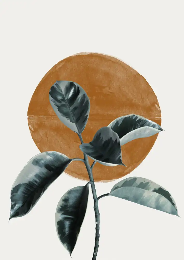 Studio, Miuus The: Soleil et Ficus