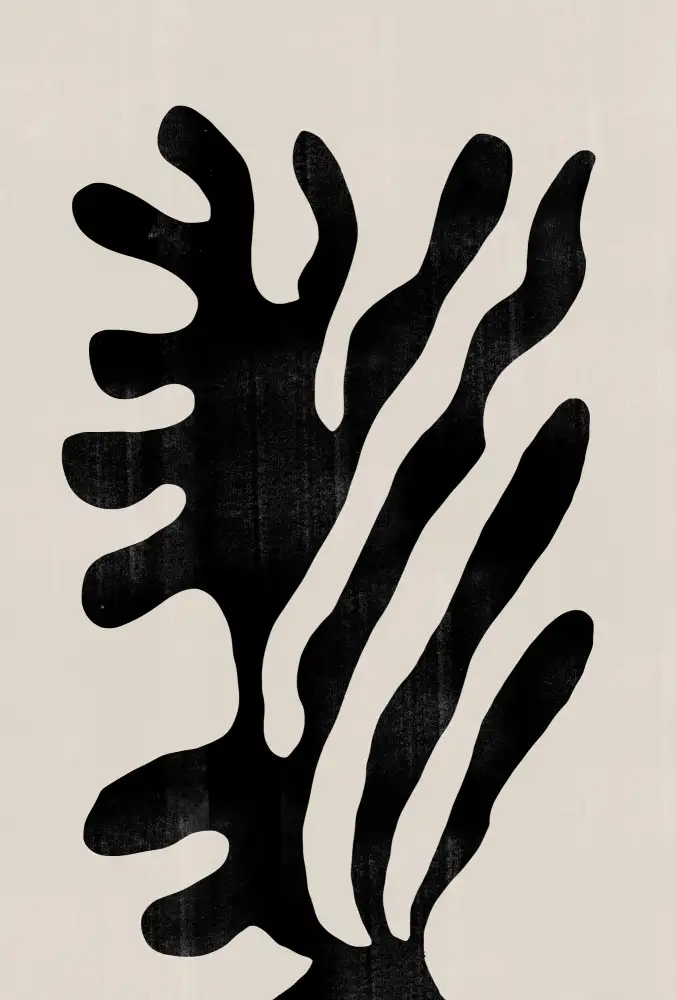 Studio, Miuus The: Planta abstracta No1.